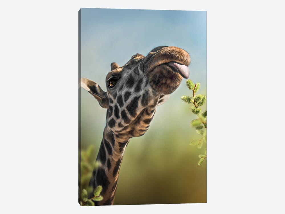 Afternoon Snack by Patsy Weingart 1-piece Canvas Print