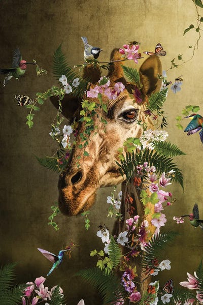 Giraffes: Birds And Bees by Patsy Weingart