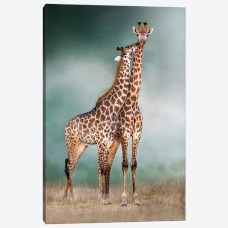 Giraffe Lovers Canvas Print #PWG31} by Patsy Weingart Canvas Print