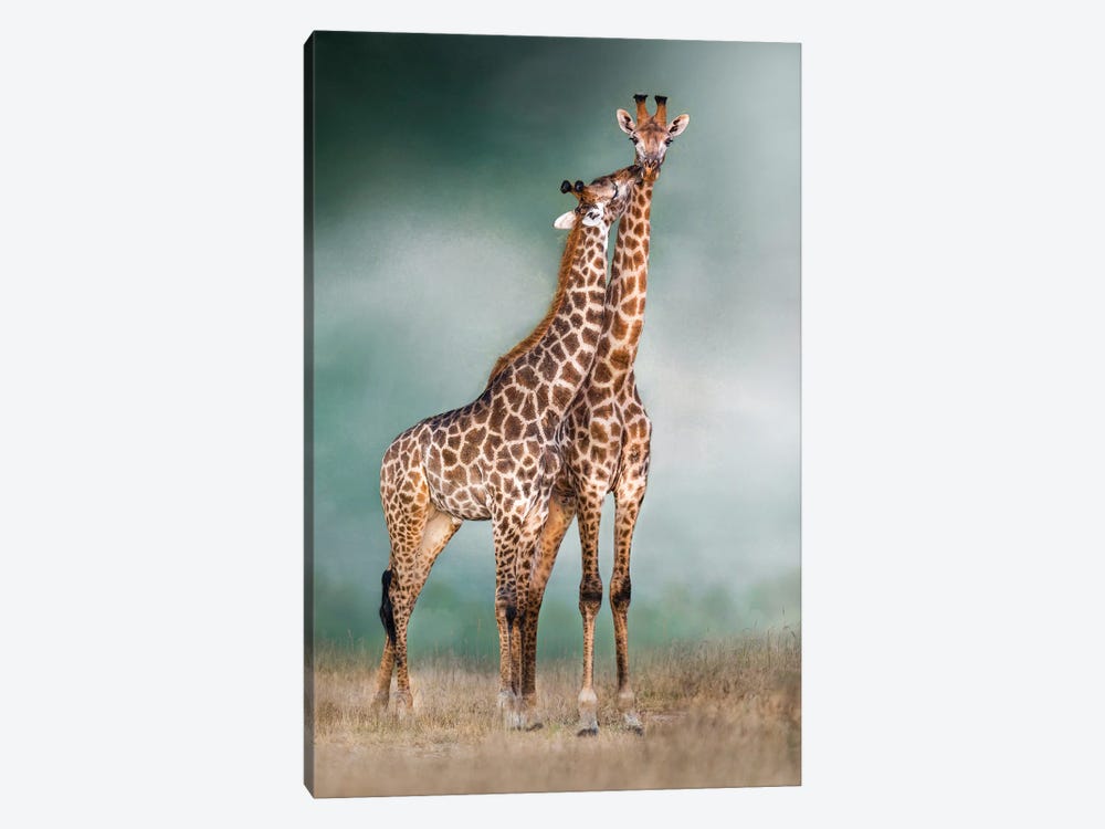 Giraffe Lovers by Patsy Weingart 1-piece Canvas Print