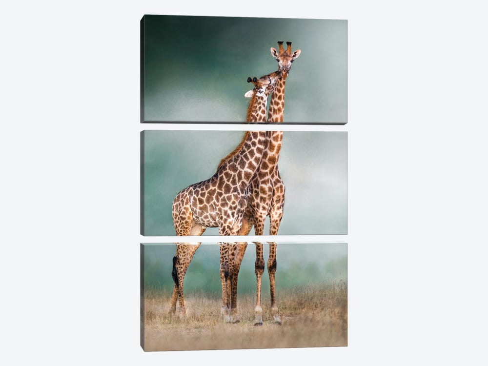 Giraffe Lovers by Patsy Weingart 3-piece Canvas Print