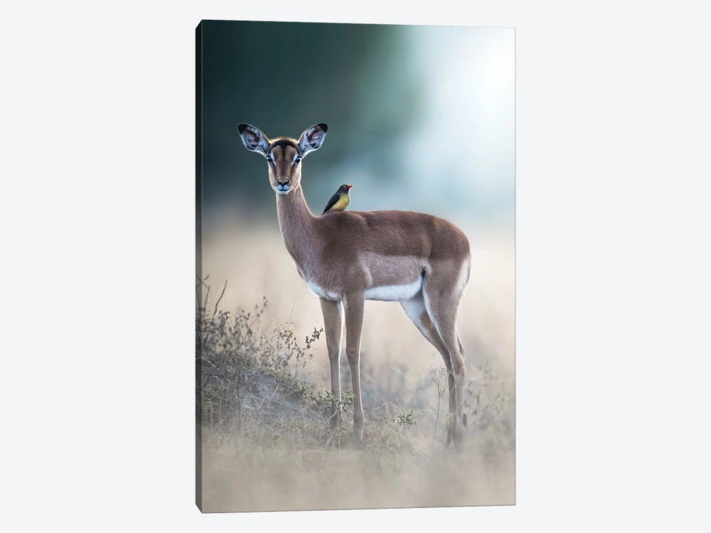 Hitchhiker by Patsy Weingart 1-piece Canvas Print