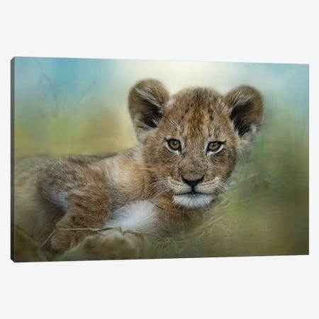 Baby In The Bush Canvas Print #PWG36} by Patsy Weingart Canvas Art