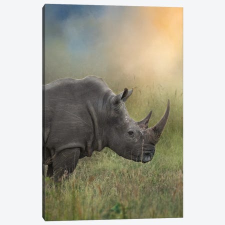 Rhino In The Morn Canvas Print #PWG37} by Patsy Weingart Canvas Art