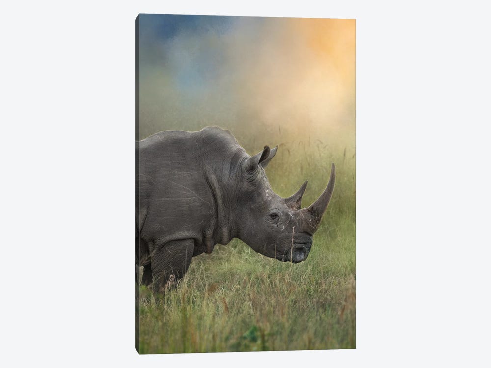 Rhino In The Morn by Patsy Weingart 1-piece Art Print