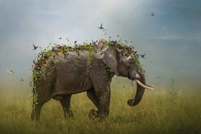 Help Getting Dressed by Patsy Weingart framed wall art