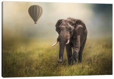 Safari Scene Canvas Art Print - Patsy Weingart