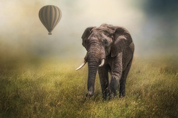 Patsy Weingart: Safari Scene by Patsy Weingart