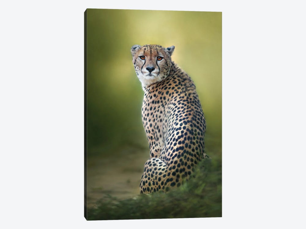Look Back by Patsy Weingart 1-piece Canvas Print