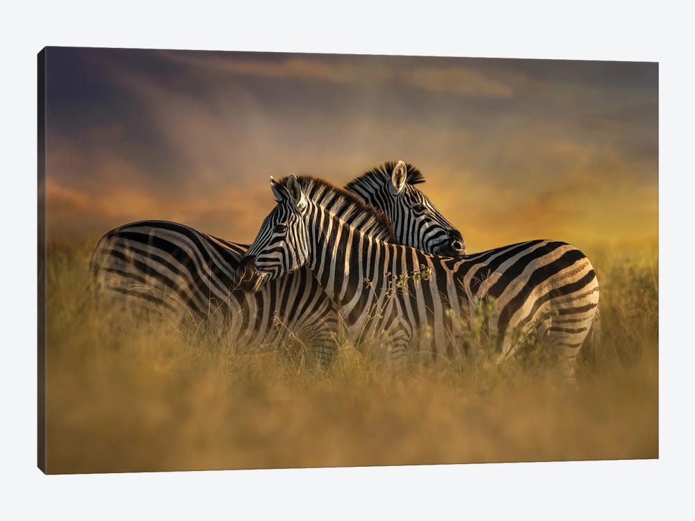I've Got Your Back by Patsy Weingart 1-piece Canvas Print