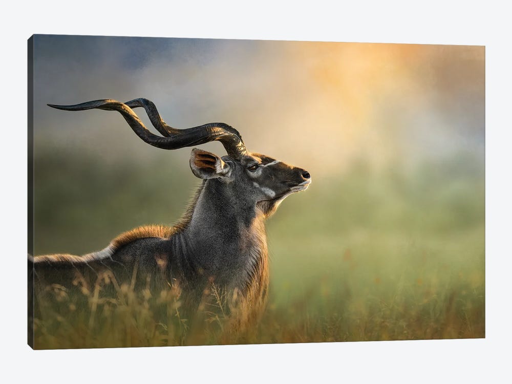 Glorious Kudu by Patsy Weingart 1-piece Canvas Art