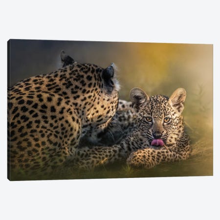 Baby And Momma Leopard Canvas Print #PWG50} by Patsy Weingart Canvas Art Print