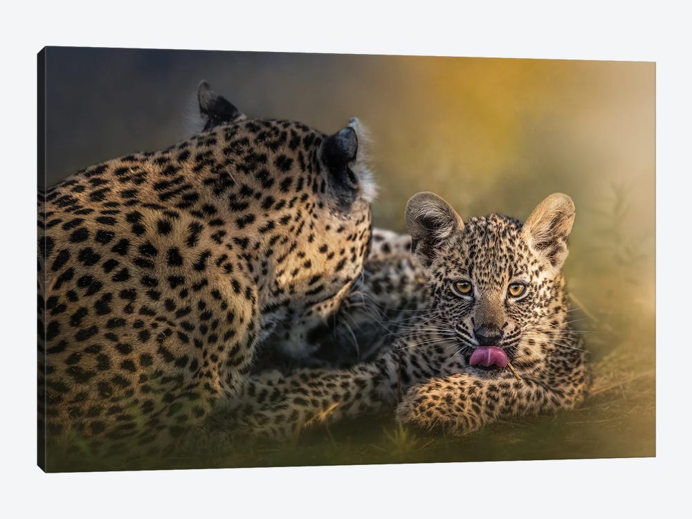 Baby And Momma Leopard by Patsy Weingart 1-piece Canvas Art