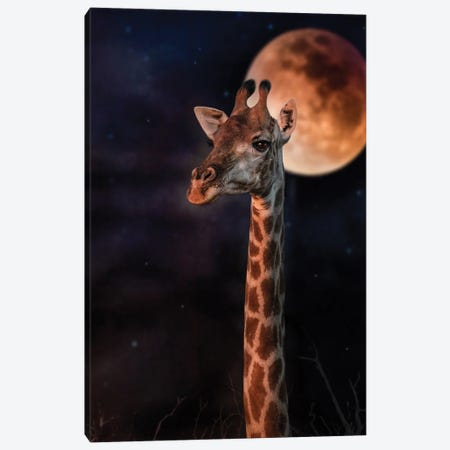 Giraffe In The Night Canvas Print #PWG57} by Patsy Weingart Canvas Wall Art