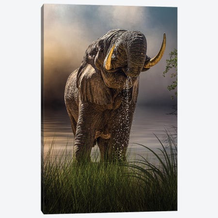 Happy Hour At The Waterhole Canvas Print #PWG63} by Patsy Weingart Canvas Art