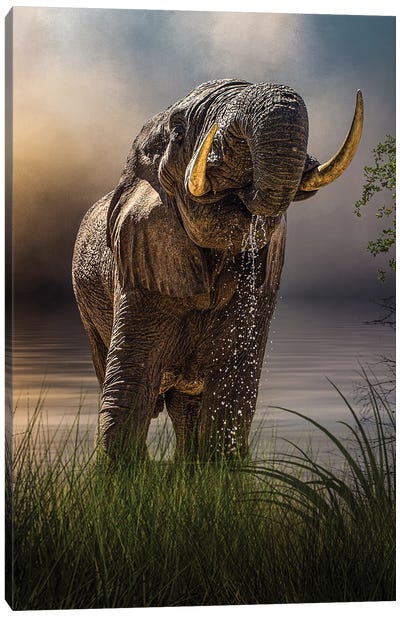 Happy Hour At The Waterhole Canvas Art Print - Patsy Weingart