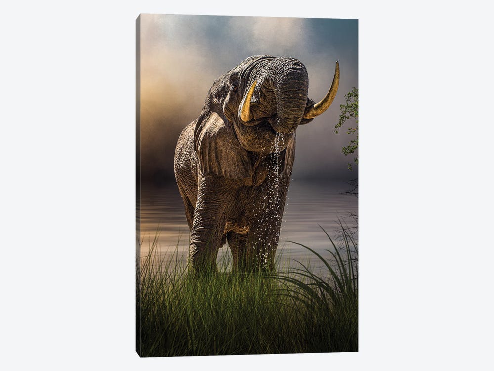Happy Hour At The Waterhole by Patsy Weingart 1-piece Canvas Wall Art