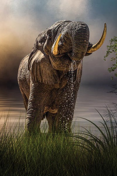 Patsy Weingart: Happy Hour At The Waterhole by Patsy Weingart