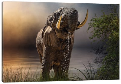 Happy Hour At The Water Hole Canvas Art Print - Patsy Weingart