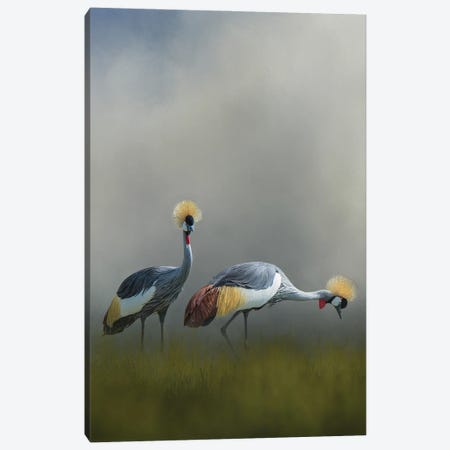 Misty Cranes Canvas Print #PWG65} by Patsy Weingart Art Print