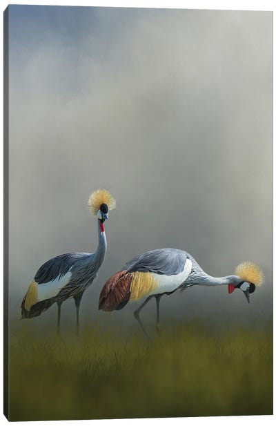 Misty Cranes Canvas Art Print - Patsy Weingart