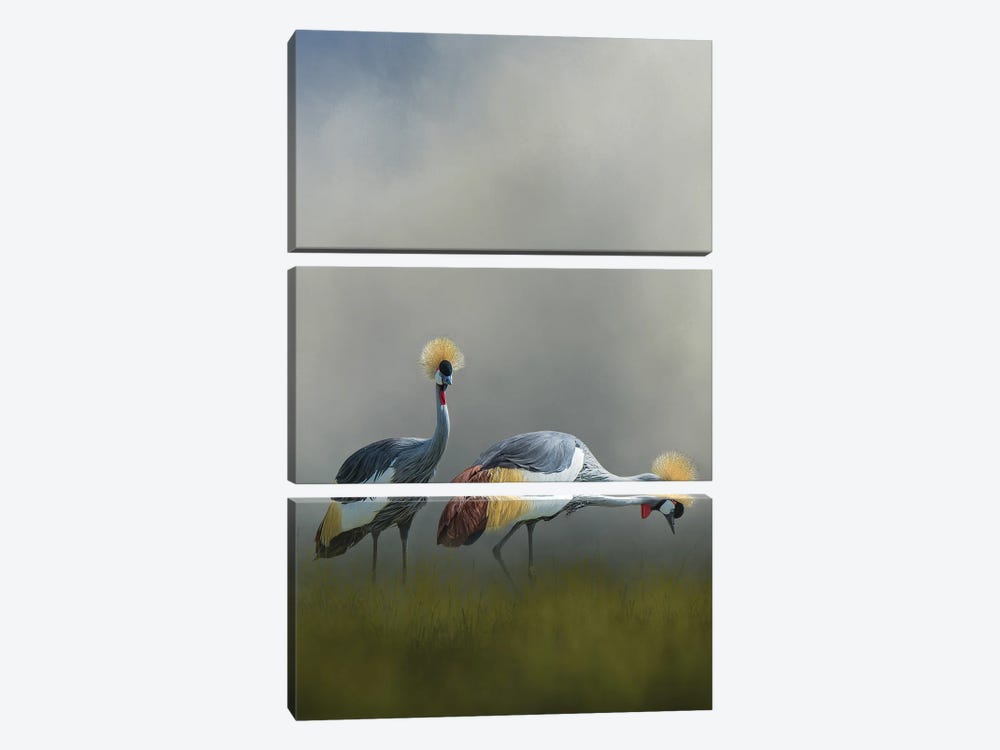 Misty Cranes by Patsy Weingart 3-piece Canvas Art