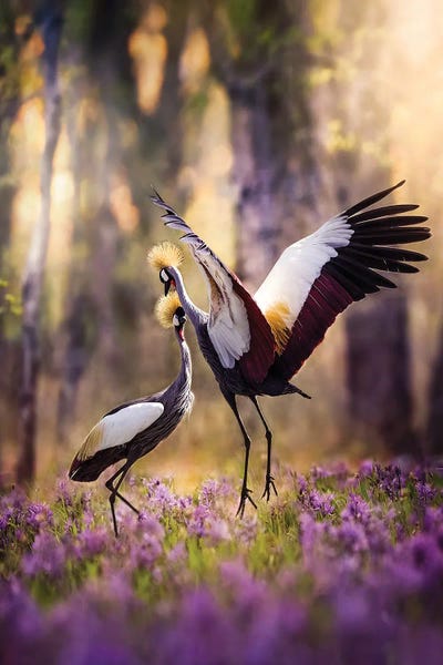 Patsy Weingart: Crown Crane Duet by Patsy Weingart