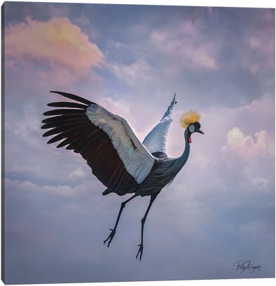 Take Flight Canvas Art Print - Patsy Weingart