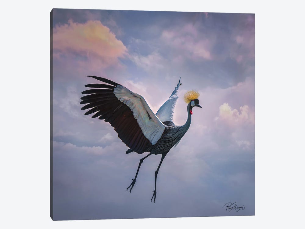 Take Flight by Patsy Weingart 1-piece Canvas Art