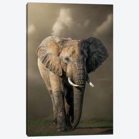 Marching Elephant Canvas Print #PWG69} by Patsy Weingart Canvas Artwork