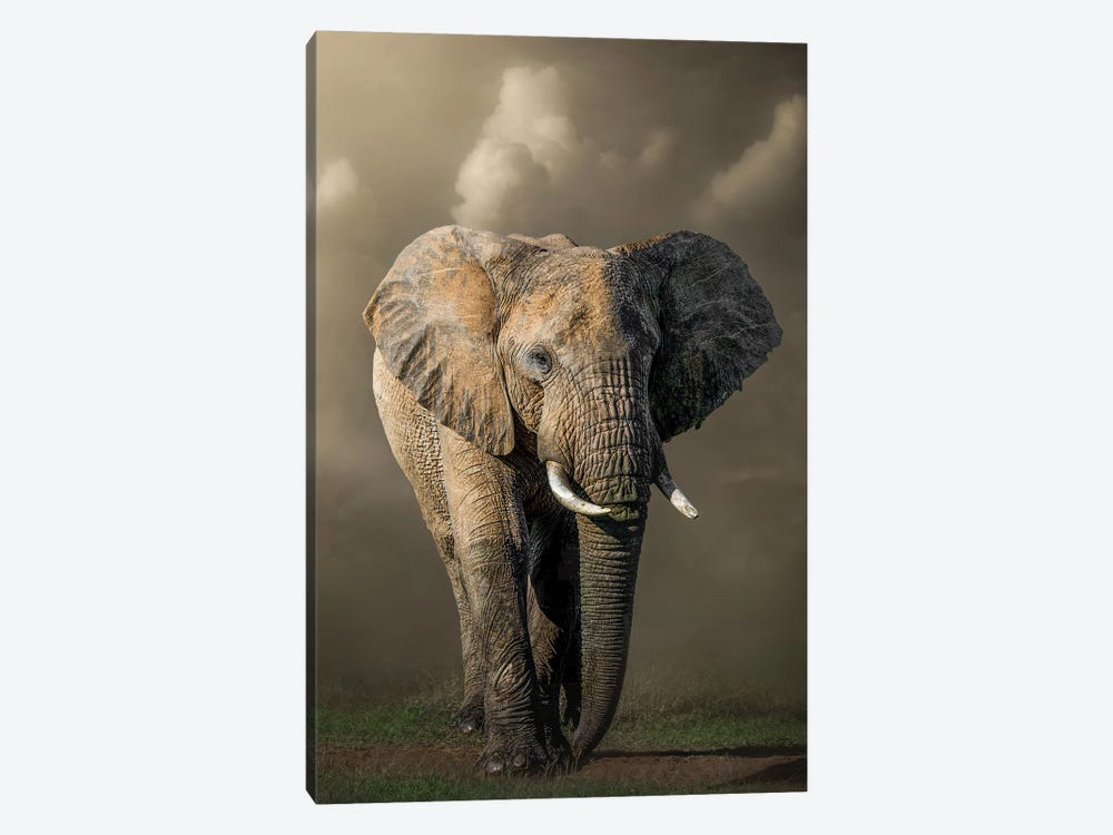 Marching Elephant 1-piece Canvas Wall Art