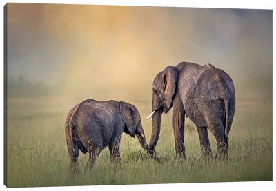 Mom And Babe In The Morning Canvas Art Print - Patsy Weingart