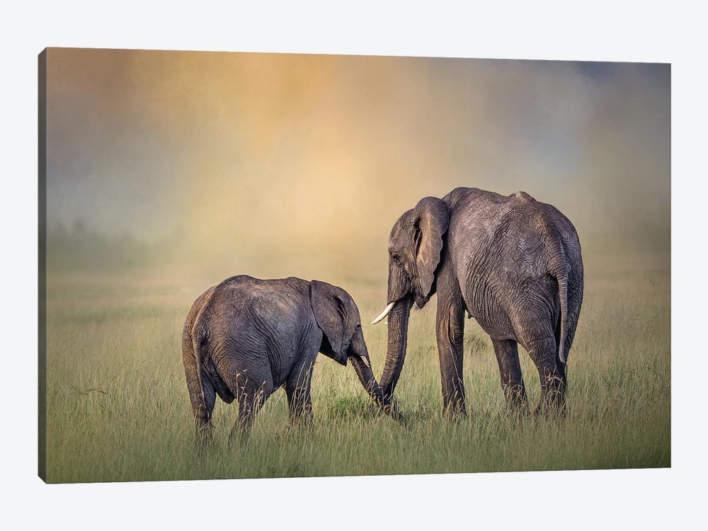 Mom And Babe In The Morning by Patsy Weingart 1-piece Canvas Art