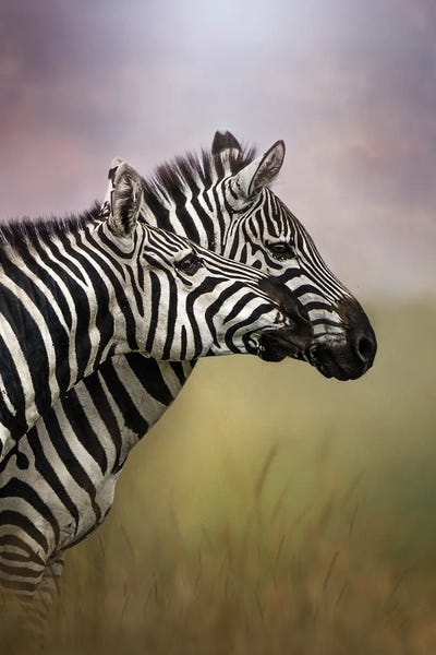 Patsy Weingart: Let's Walk Together by Patsy Weingart