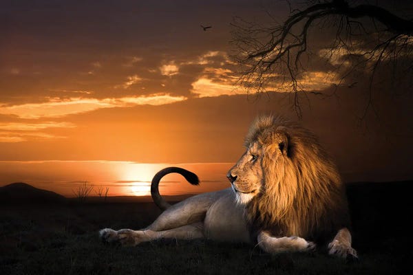 Patsy Weingart: King In The Evening I by Patsy Weingart