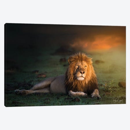 King In The Evening II Canvas Print #PWG74} by Patsy Weingart Canvas Wall Art
