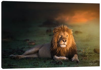 King In The Evening II Canvas Art Print - Patsy Weingart