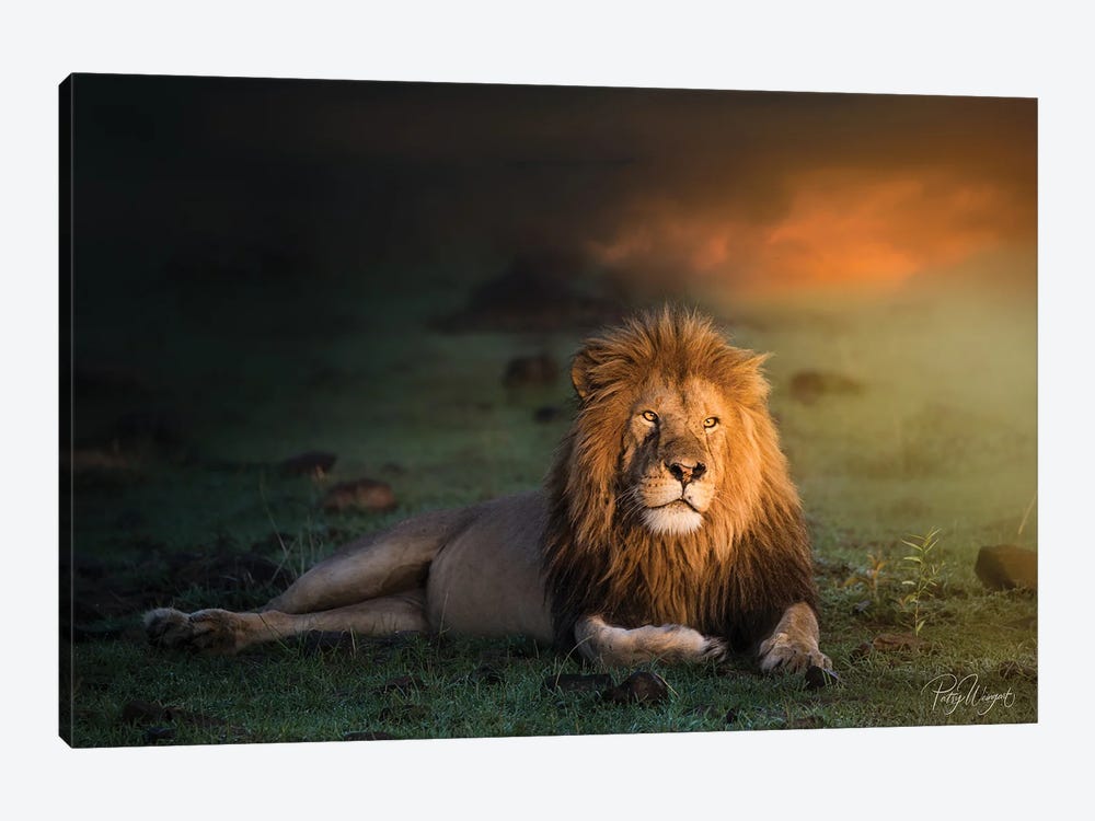 King In The Evening II by Patsy Weingart 1-piece Canvas Artwork