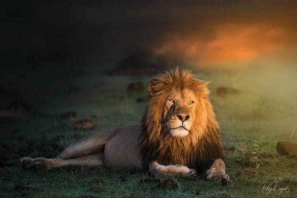 Patsy Weingart: King In The Evening II by Patsy Weingart