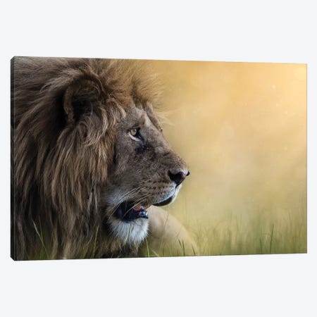 McDreamy Of The Mara I Canvas Print #PWG76} by Patsy Weingart Canvas Wall Art