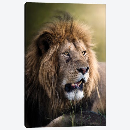 McDreamy Of The Mara II Canvas Print #PWG77} by Patsy Weingart Canvas Art