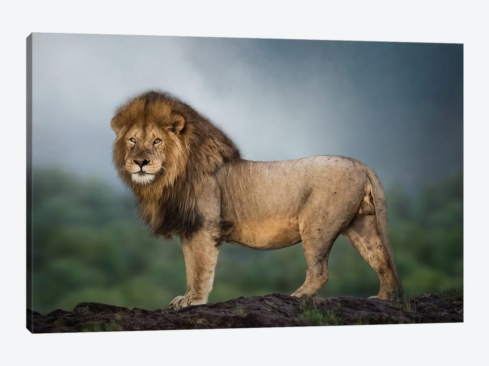 Checking His Kingdom by Patsy Weingart 1-piece Art Print