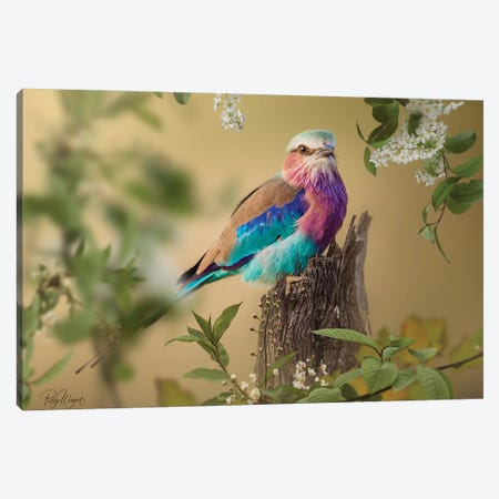 Lilac Roller Canvas Print #PWG7} by Patsy Weingart Canvas Art Print