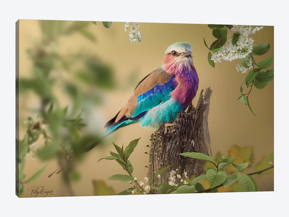 Lilac Roller by Patsy Weingart 1-piece Art Print