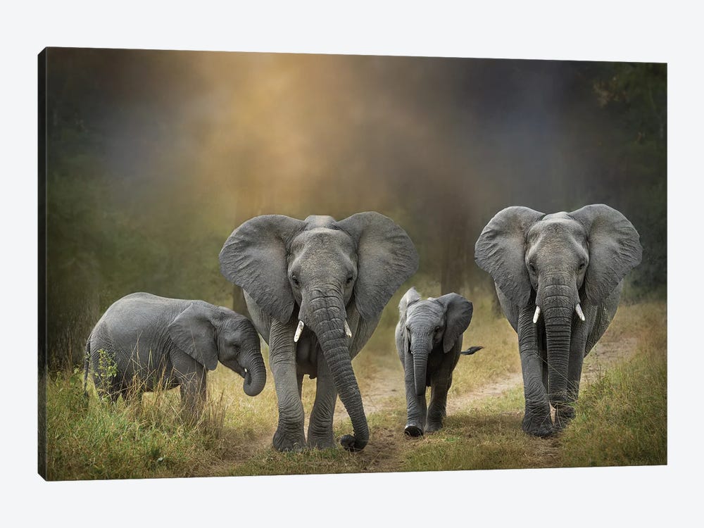 Elephant Family by Patsy Weingart 1-piece Canvas Print
