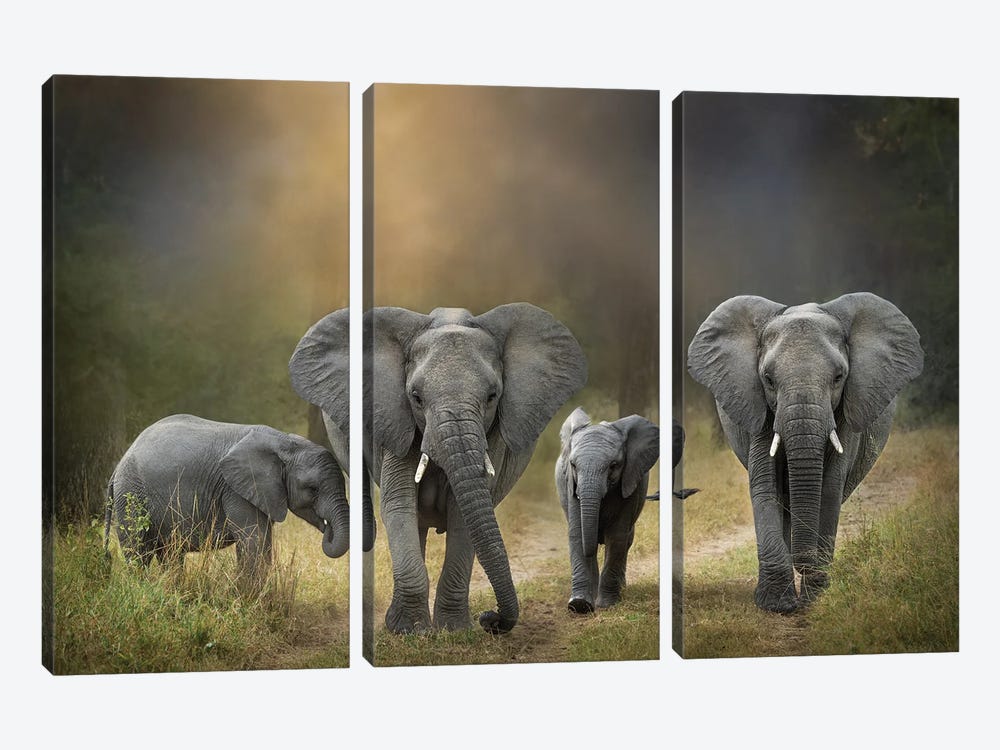 Elephant Family by Patsy Weingart 3-piece Canvas Art Print