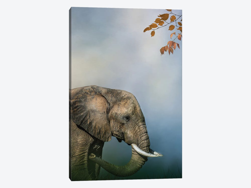 Elephant Profile by Patsy Weingart 1-piece Canvas Artwork
