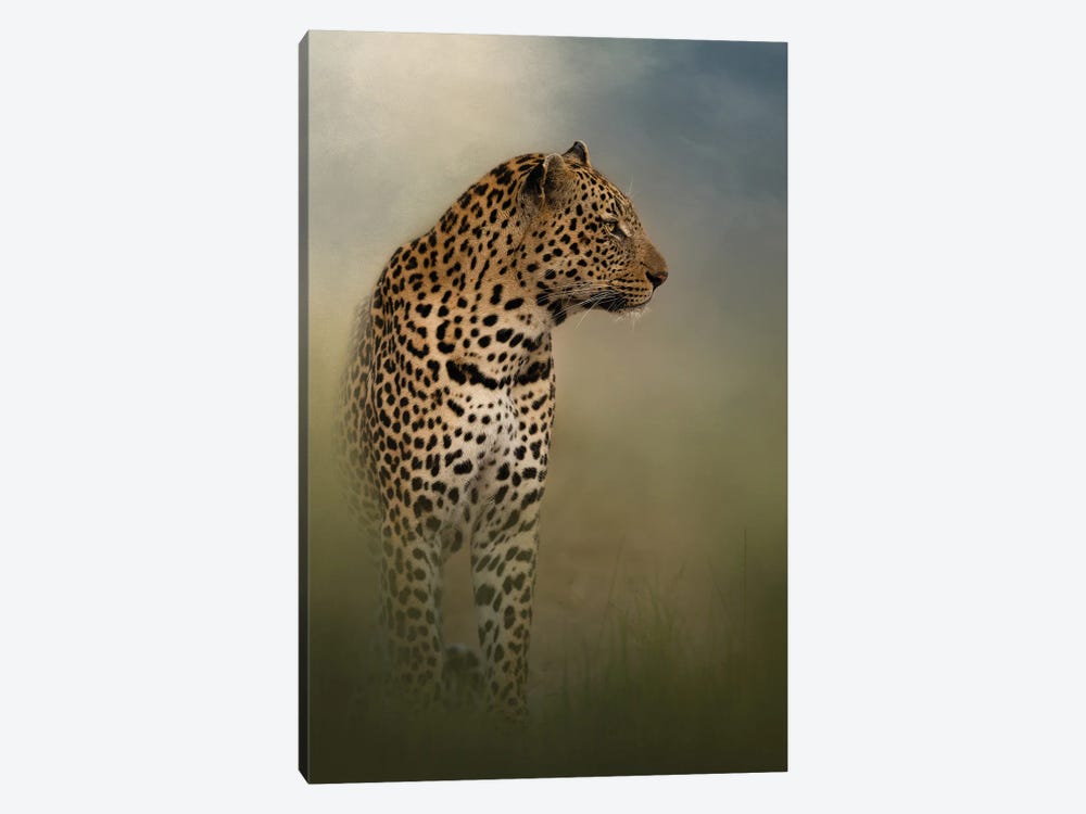 Searching Leopard by Patsy Weingart 1-piece Canvas Artwork