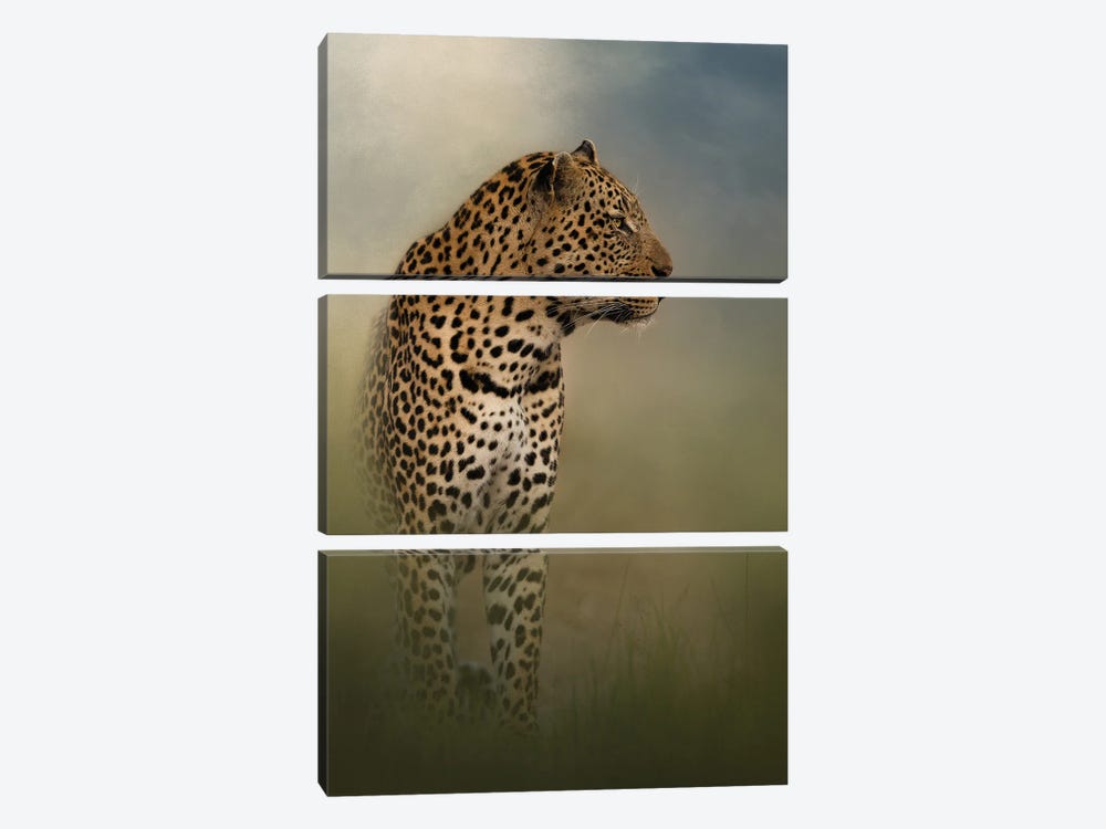 Searching Leopard by Patsy Weingart 3-piece Canvas Art
