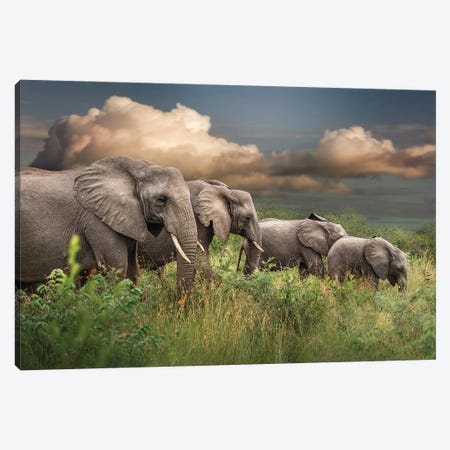 Elephants On Parade Canvas Print #PWG94} by Patsy Weingart Canvas Artwork